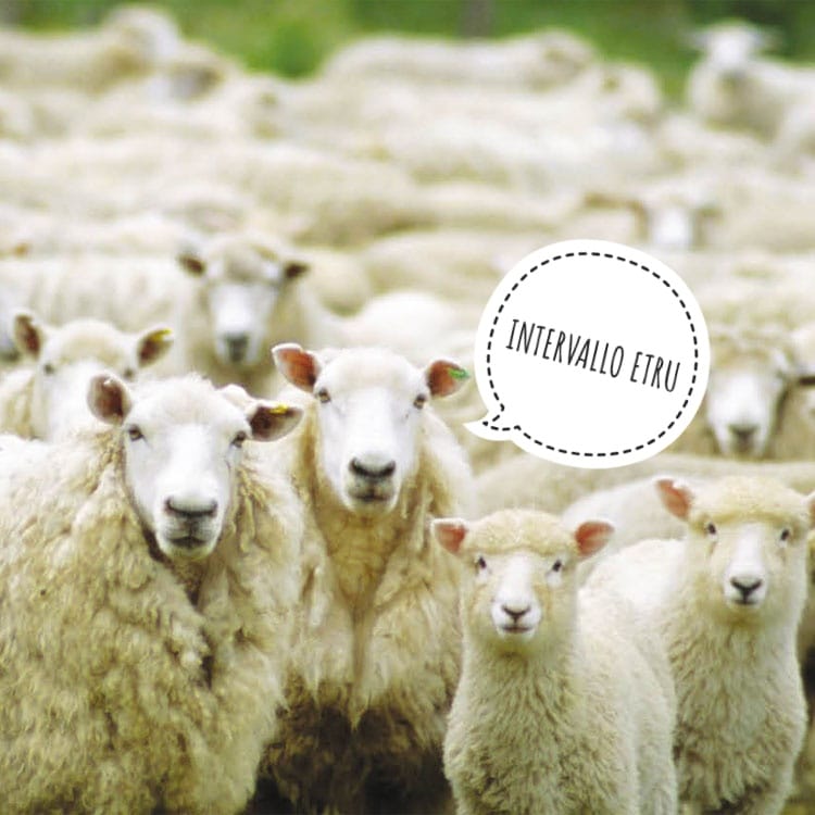 Intervallo ETRU Ep. 4